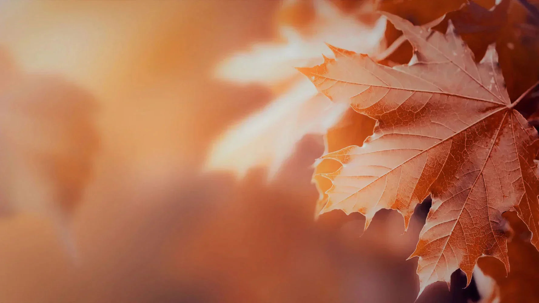 Indossare l’autunno